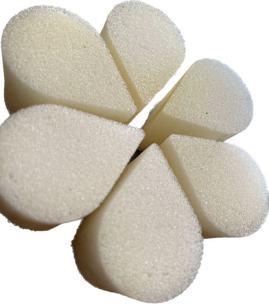 Esponjas